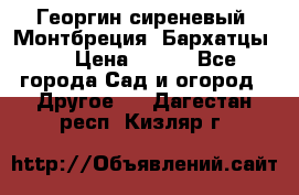 Георгин сиреневый. Монтбреция. Бархатцы.  › Цена ­ 100 - Все города Сад и огород » Другое   . Дагестан респ.,Кизляр г.